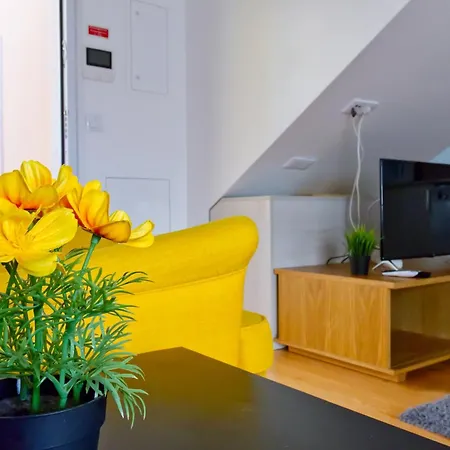 Apartamento Vista Lusitana *